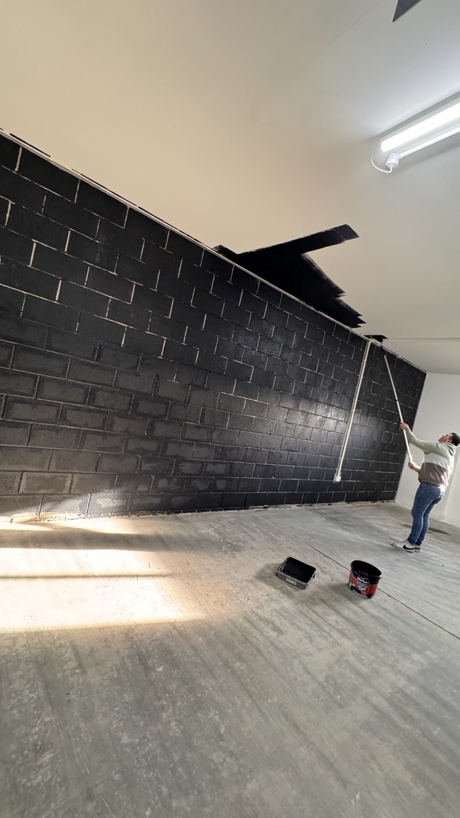 Painting the shell